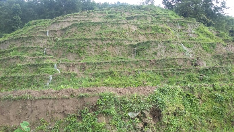 आकाश हेर्दै बित्यो असार